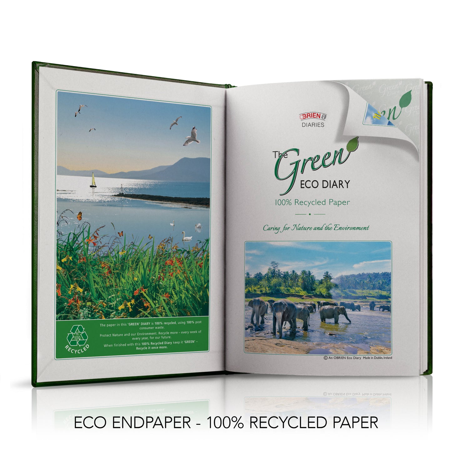 A5 'The Green Eco' Hardback or Padded Custom Corporate Diary